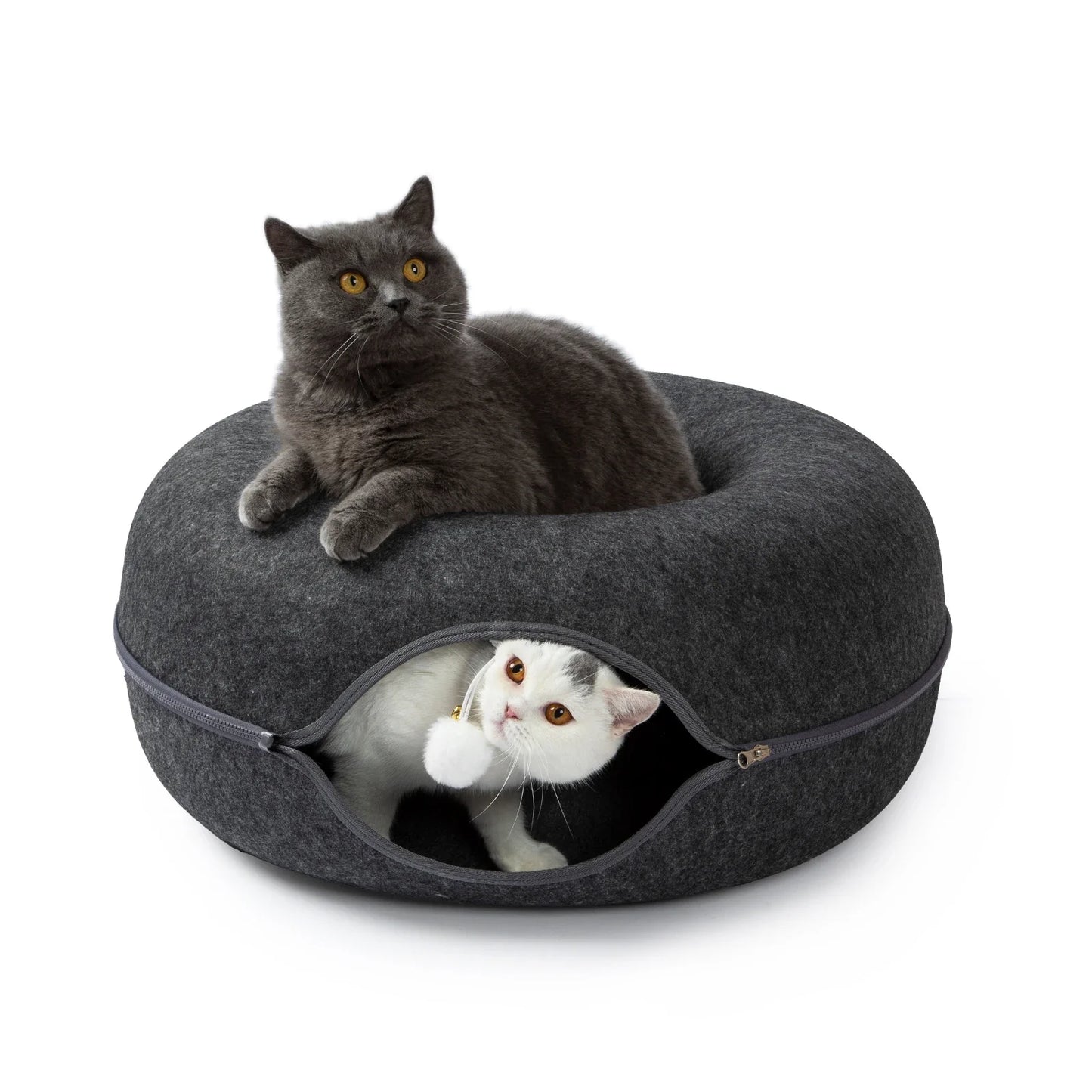 ScratchaBoo™ 24-Inch Large Peekaboo Donut Cat Bed | Spacious Scratchproof Cat Cave for Multiple Cats up to 30 lbs – Detachable & Washable Wool Felt Tunnel