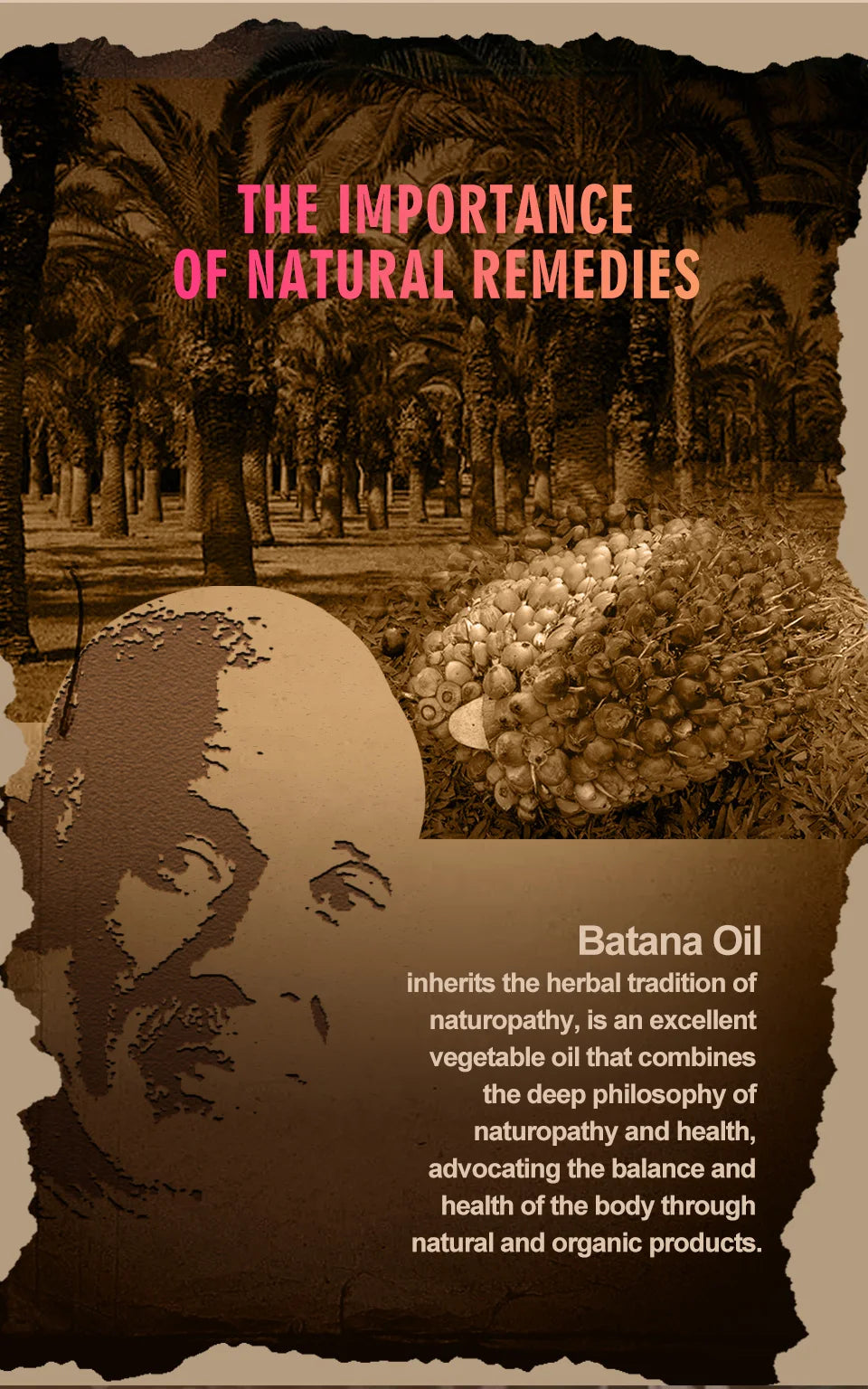 Natural 100% Pure Batana Oil Hair Growth and Hair Loss Treatment